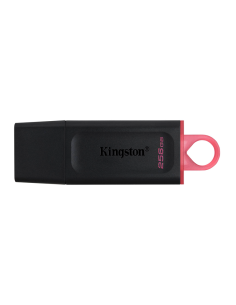 Pendrive Kingston 256gb Dtx...