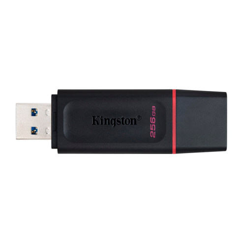 Pendrive Kingston 256gb Dtx Exodia...