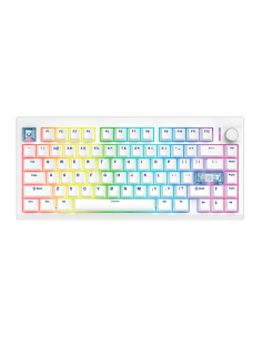 Teclado Mecánico...