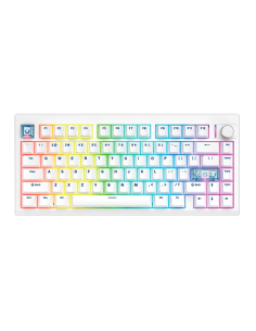 Teclado Mecánico...