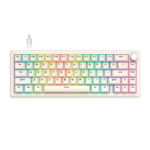 TECLADO MECÁNICO FANTECH ATOM X66 MK614 RETRO - BEIGE (ICE APRICOT SWITCH) 65% HOT-SWAP RGB USB-C