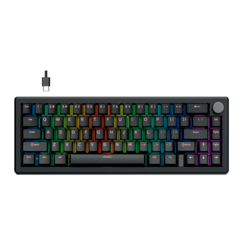 TECLADO MECÁNICO FANTECH ATOM X66 MK614 RETRO - BLACK (ICE APRICOT SWITCH) 65% HOT-SWAP RGB USB-C