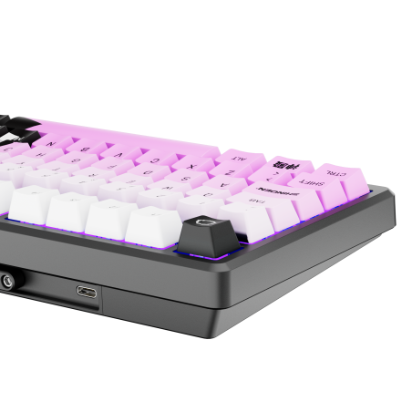 Pre Venta Teclado Magnético Shinden RKM75 HE RGB Wired 75%