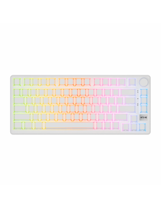 Teclado Magnético Royal...