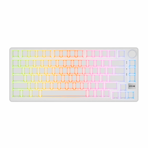 TECLADO MAGNÉTICO ROYAL KLUDGE RKM75 HE AURORA FRAME SWITCH MINT 75%